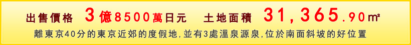 出售價格 3億8500萬日元　土地面積 31,365.90㎡　離東京40分的東京近郊的度假地 並有3處溫泉源泉 位於南面斜坡的好位置